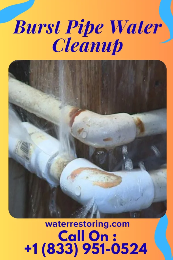 Burst Pipe Water Cleanup in Hoven, SD
