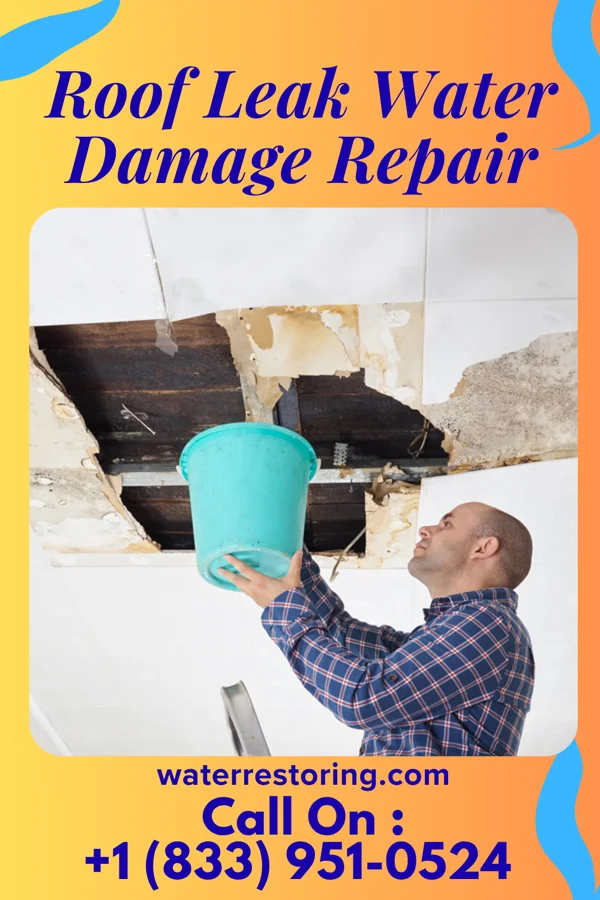 Roof Leak Water Damage Repair in Hoven, SD